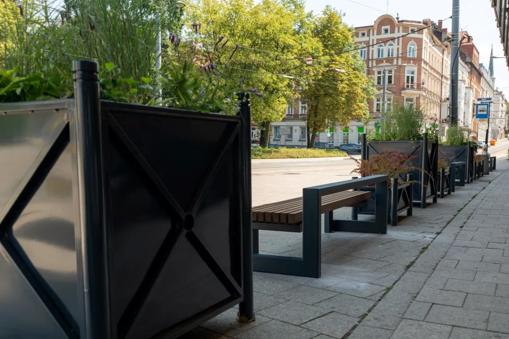 Chorzowski Rynek się zazielenił!