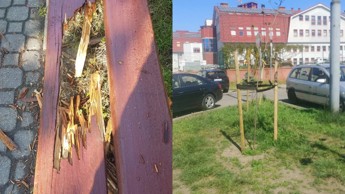 Wandale zniszczyli obiekty użytku publicznego w Chorzowie