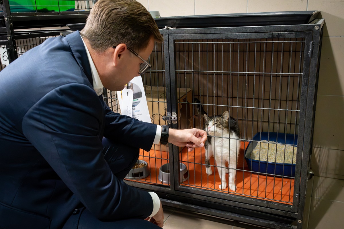 Prezydent Chorzowa odkrywa realia schroniska Psikot: Wizyta pełna emocji i nowych odkryć