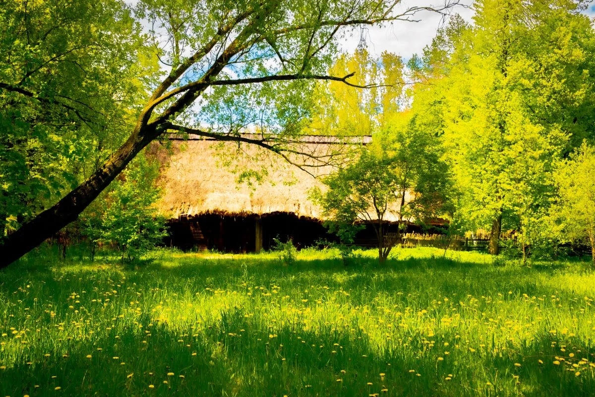 Czwarta edycja Silver Silesia: Targi Senioralne w Chorzowie już 10 września