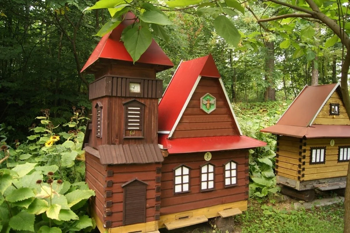 Odkryj przepiękne Miasteczko Pszczele w Dzięgielowie!