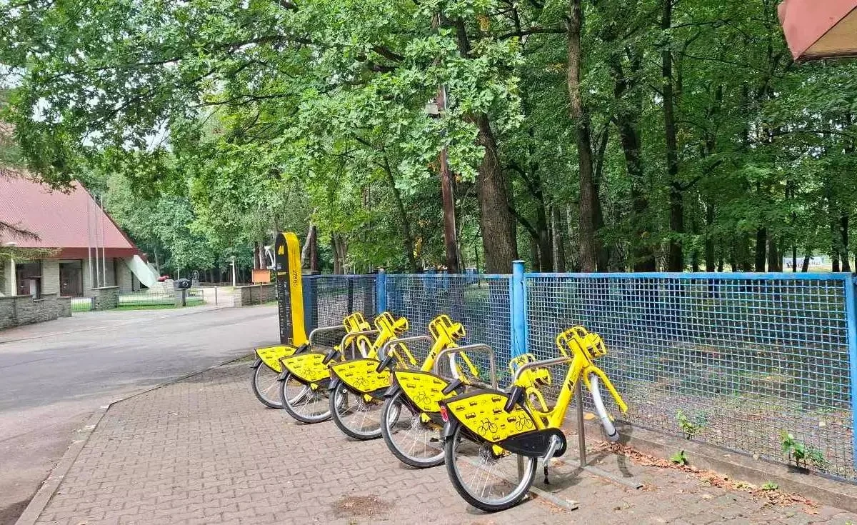 Wandale zniszczyli nowe rowery miejskie w Zabrzu