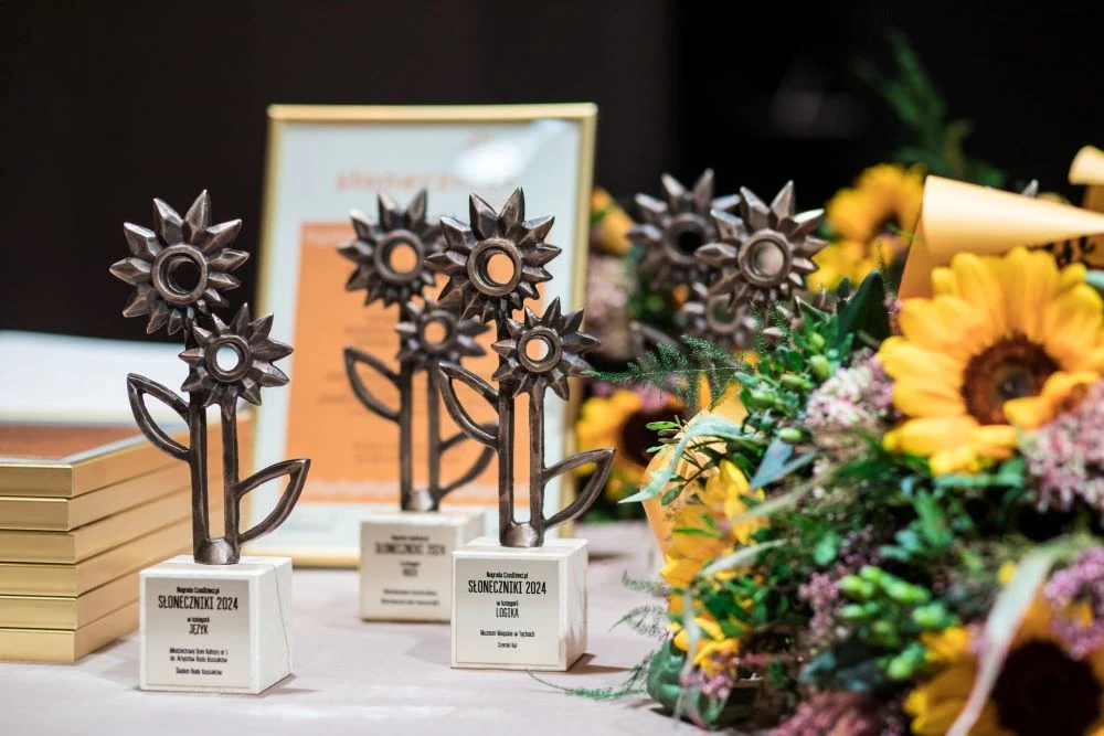 Dwie rudzkie placówki kultury nagrodzone!