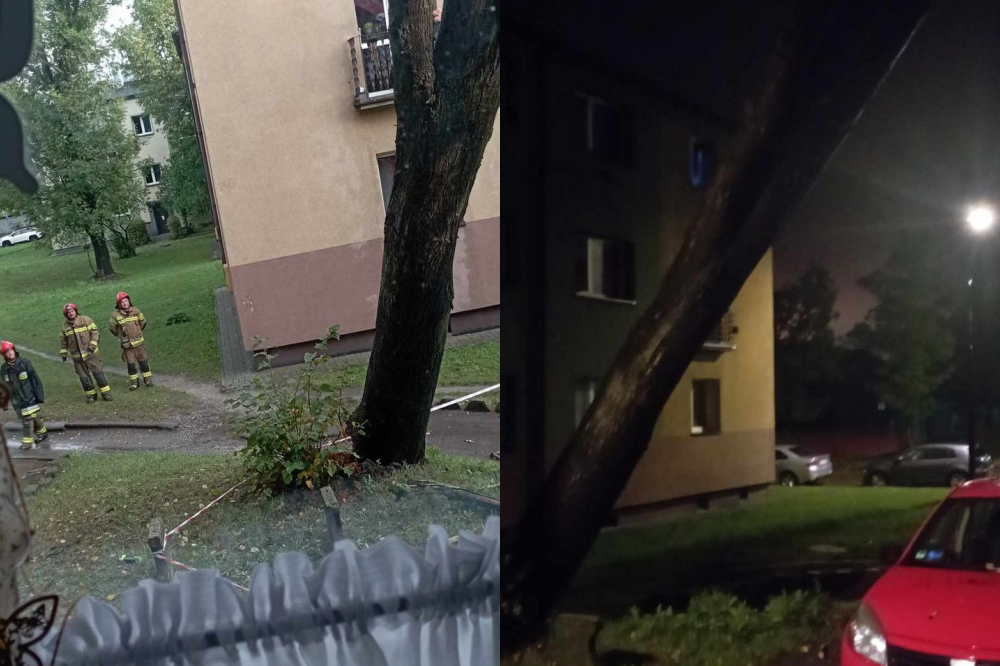 Krok od tragedii. Drzewo przewróciło się na budynek przy Jana Gierałtowskiego