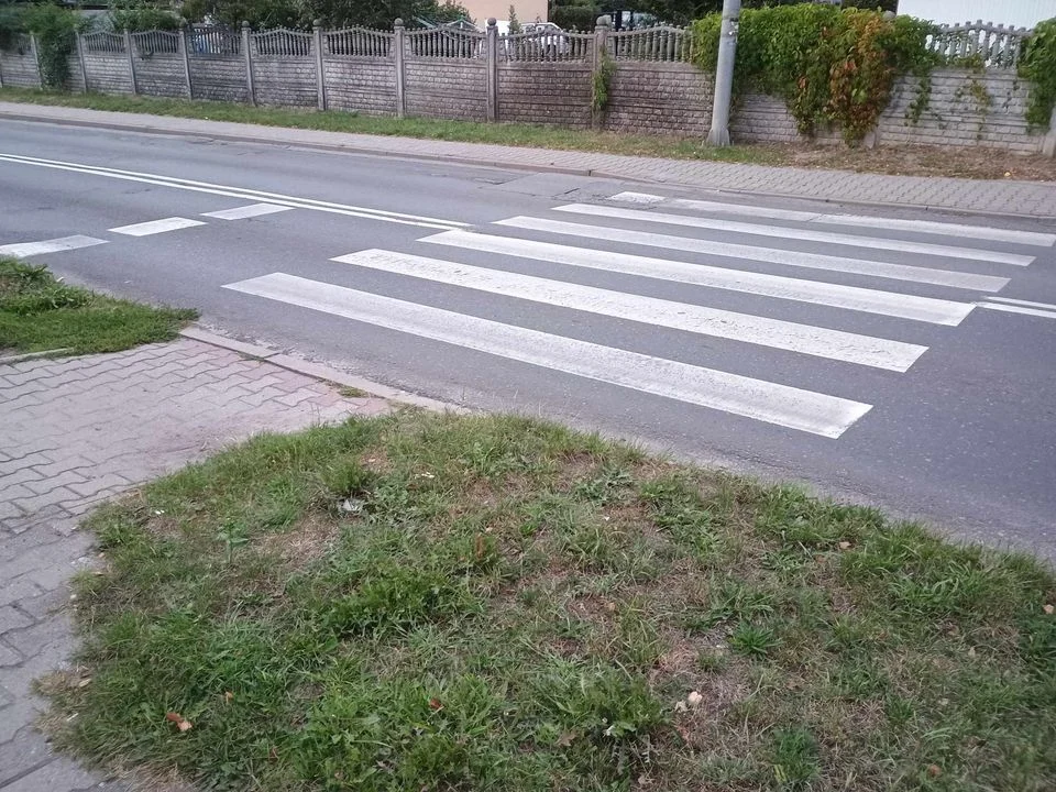 Czy przejścia dla pieszych były kontrolowane przed rozpoczęciem roku szkolnego?