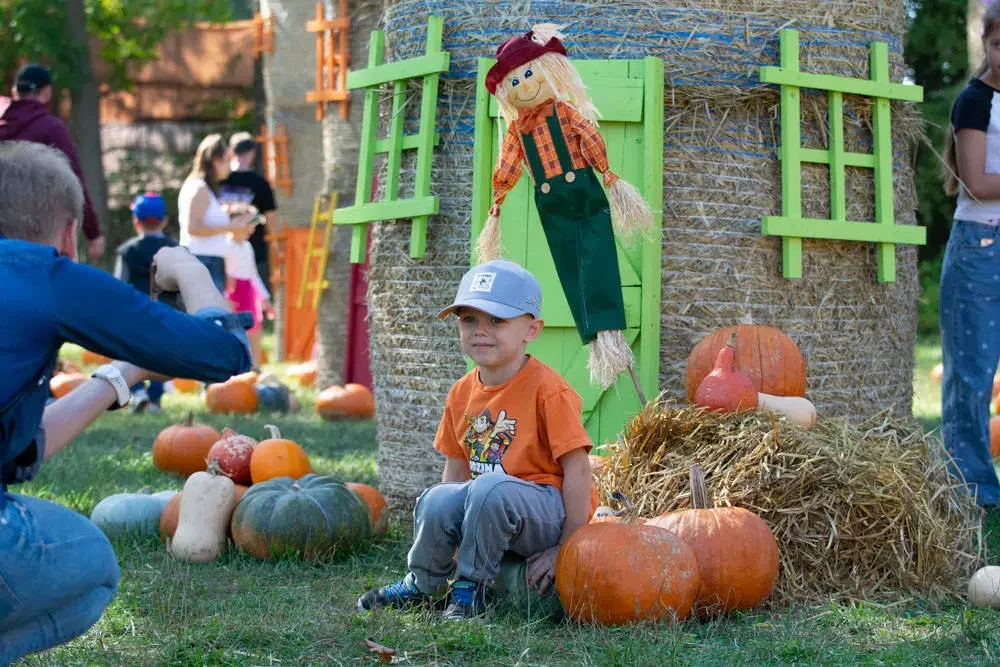 Farma Dyniowa w Rudzie Śląskiej w końcu otwarta! [ZDJĘCIA]