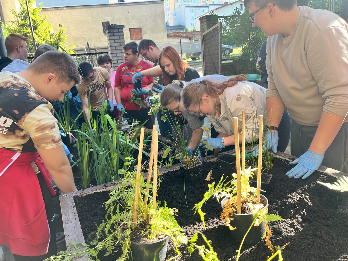 Ogród deszczowy w Zespole Szkół nr 7 1