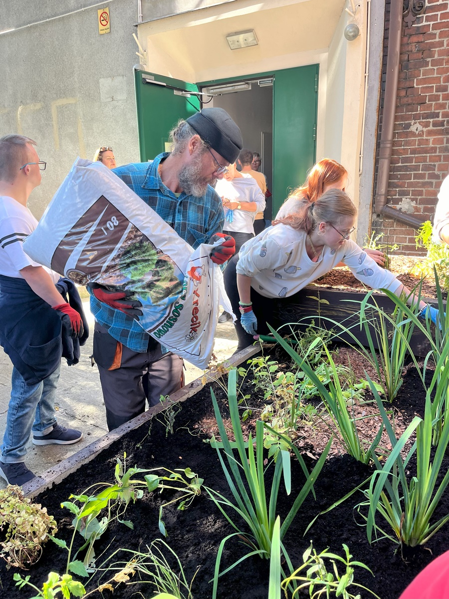 Ogród deszczowy w Zespole Szkół nr 7 2