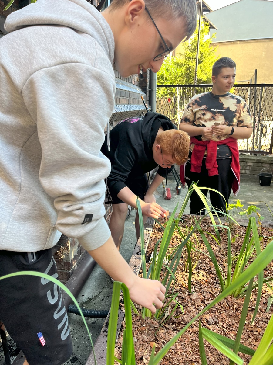 Ogród deszczowy w Zespole Szkół nr 7 6