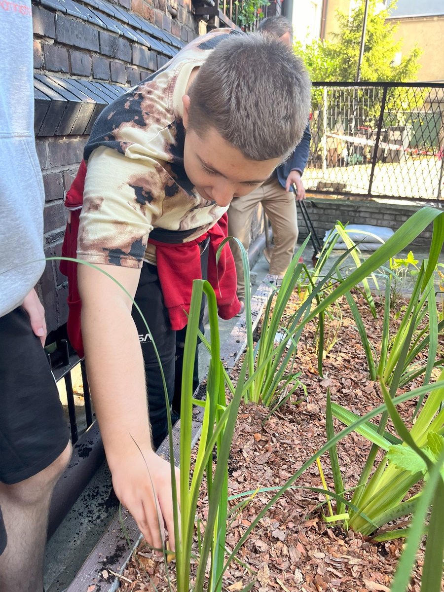 Ogród deszczowy w Zespole Szkół nr 7 7