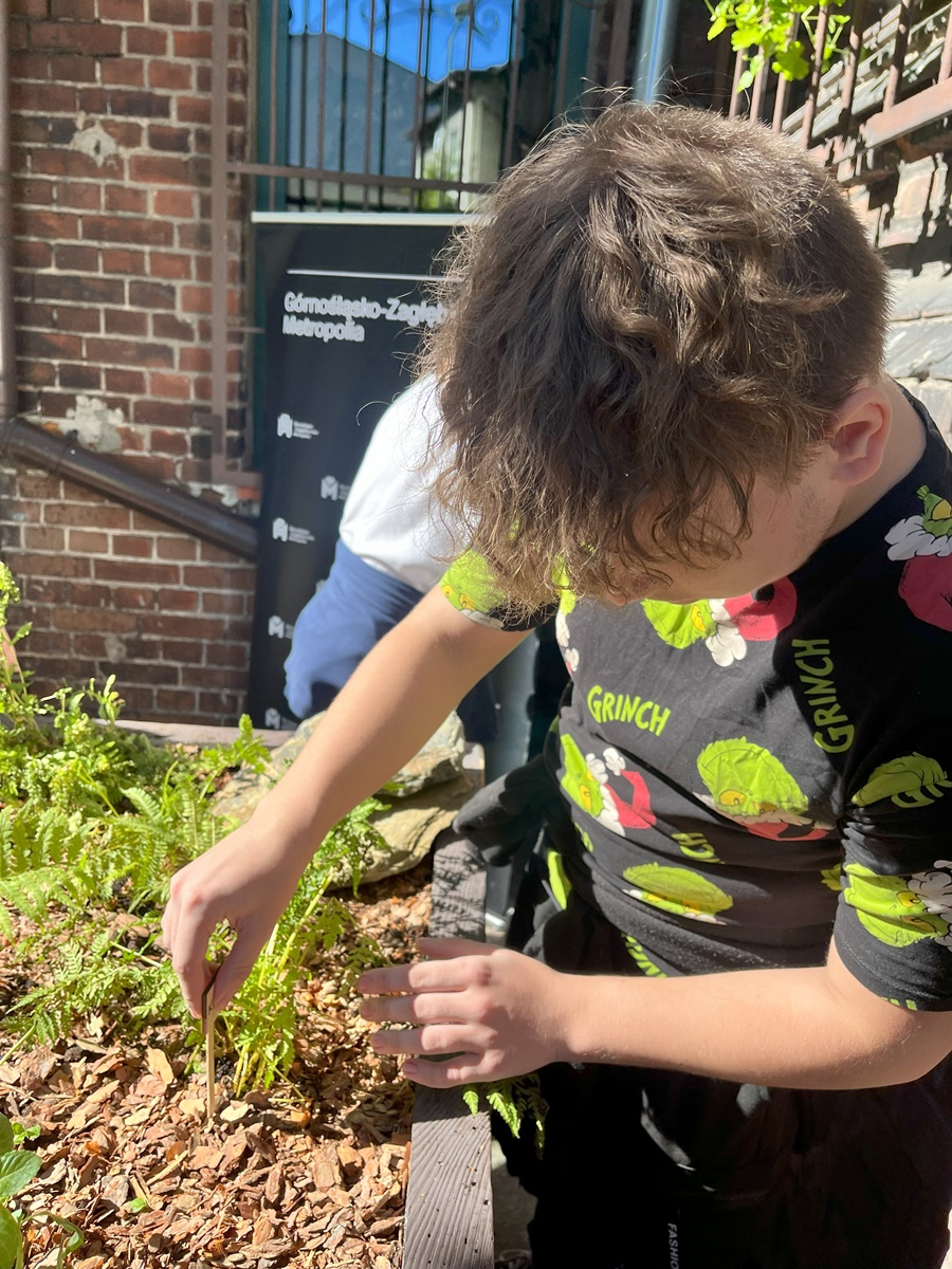 Ogród deszczowy w Zespole Szkół nr 7 8