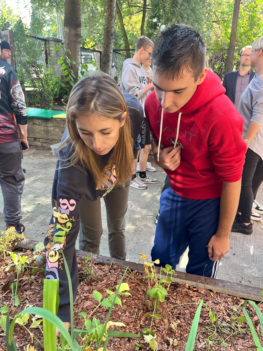 Ogród deszczowy w Zespole Szkół nr 7 9