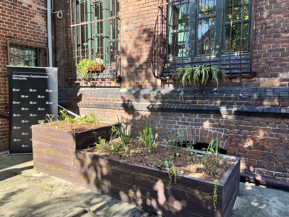 Ogród deszczowy w Zespole Szkół nr 7 13