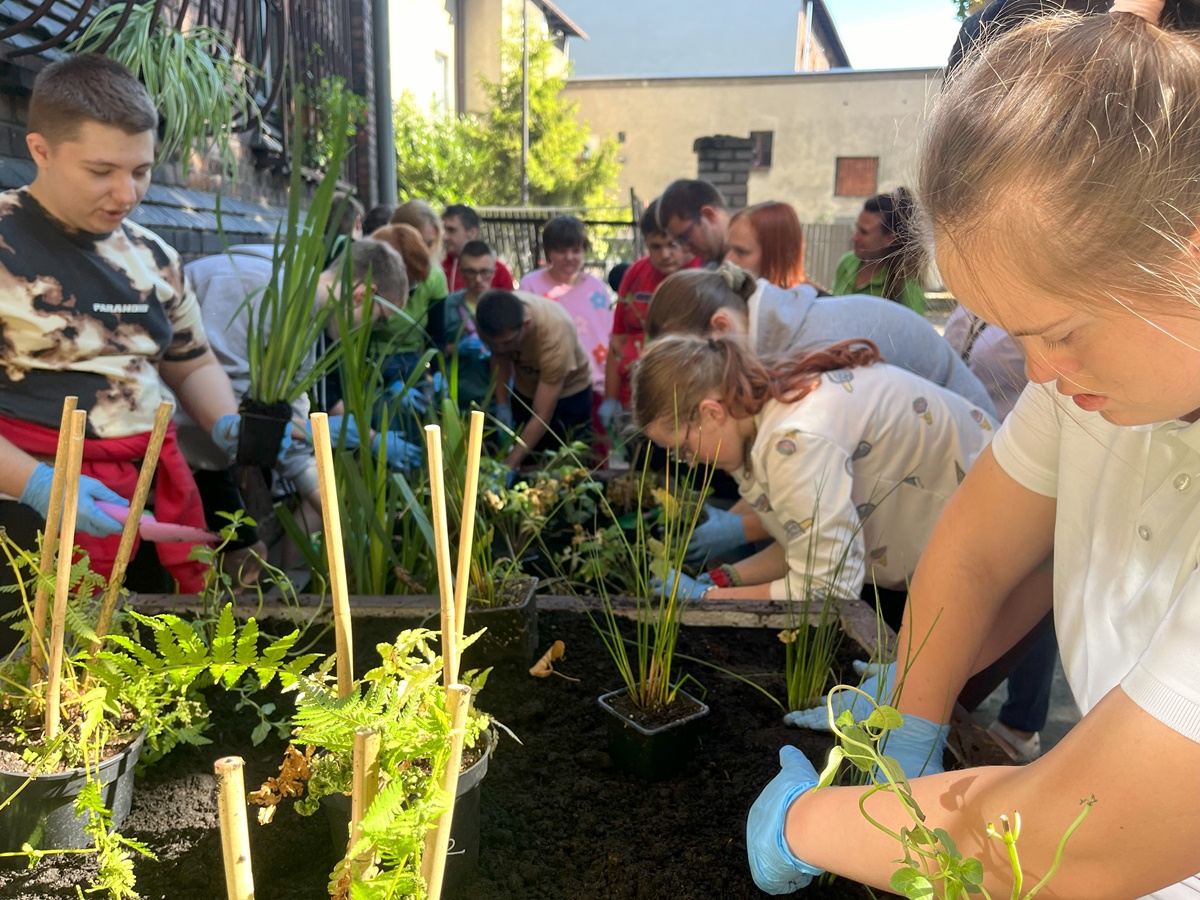 Ogród deszczowy w Zespole Szkół nr 7 23