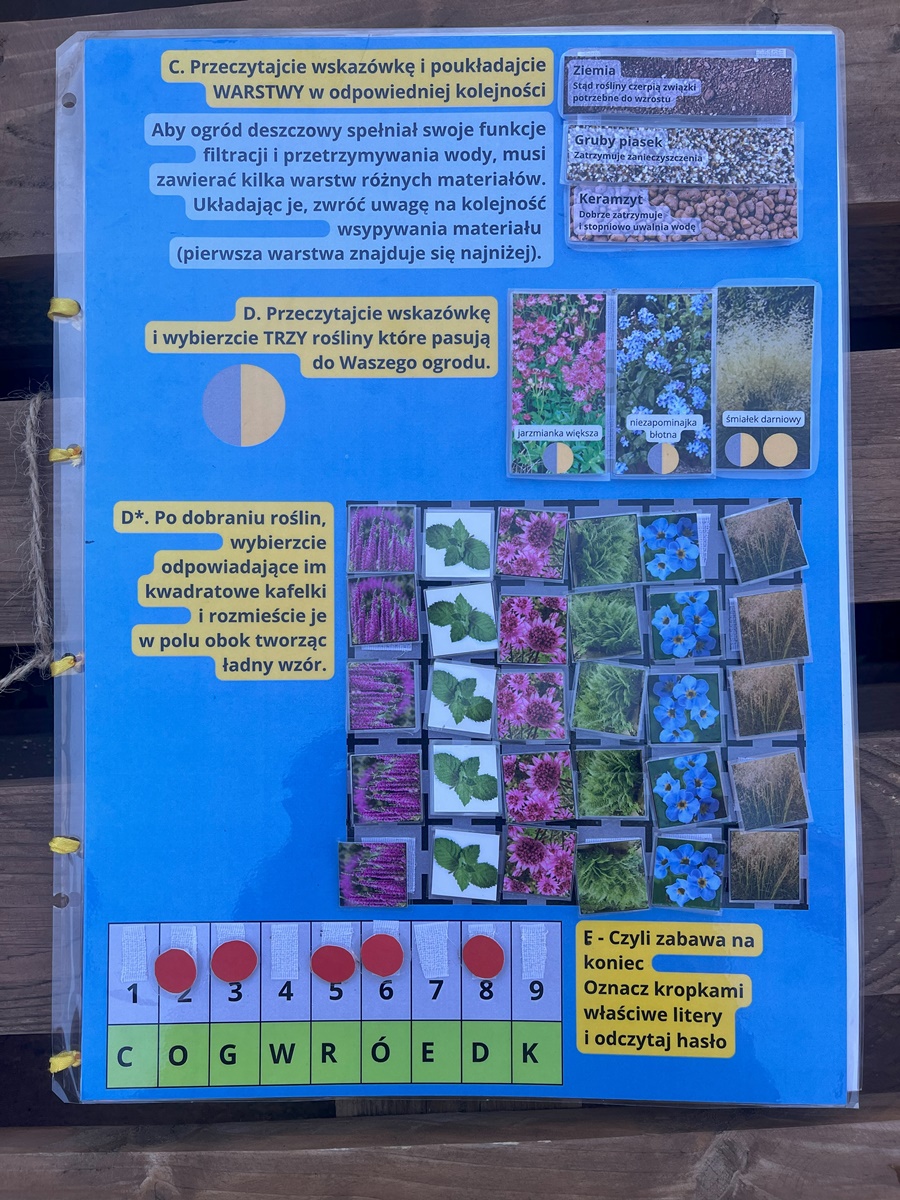 Ogród deszczowy w Zespole Szkół nr 7 26