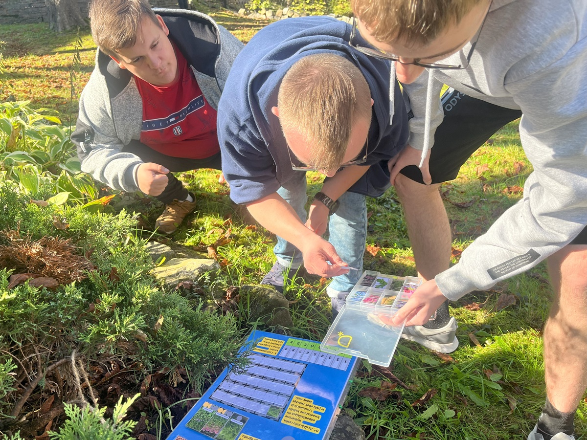 Ogród deszczowy w Zespole Szkół nr 7 29