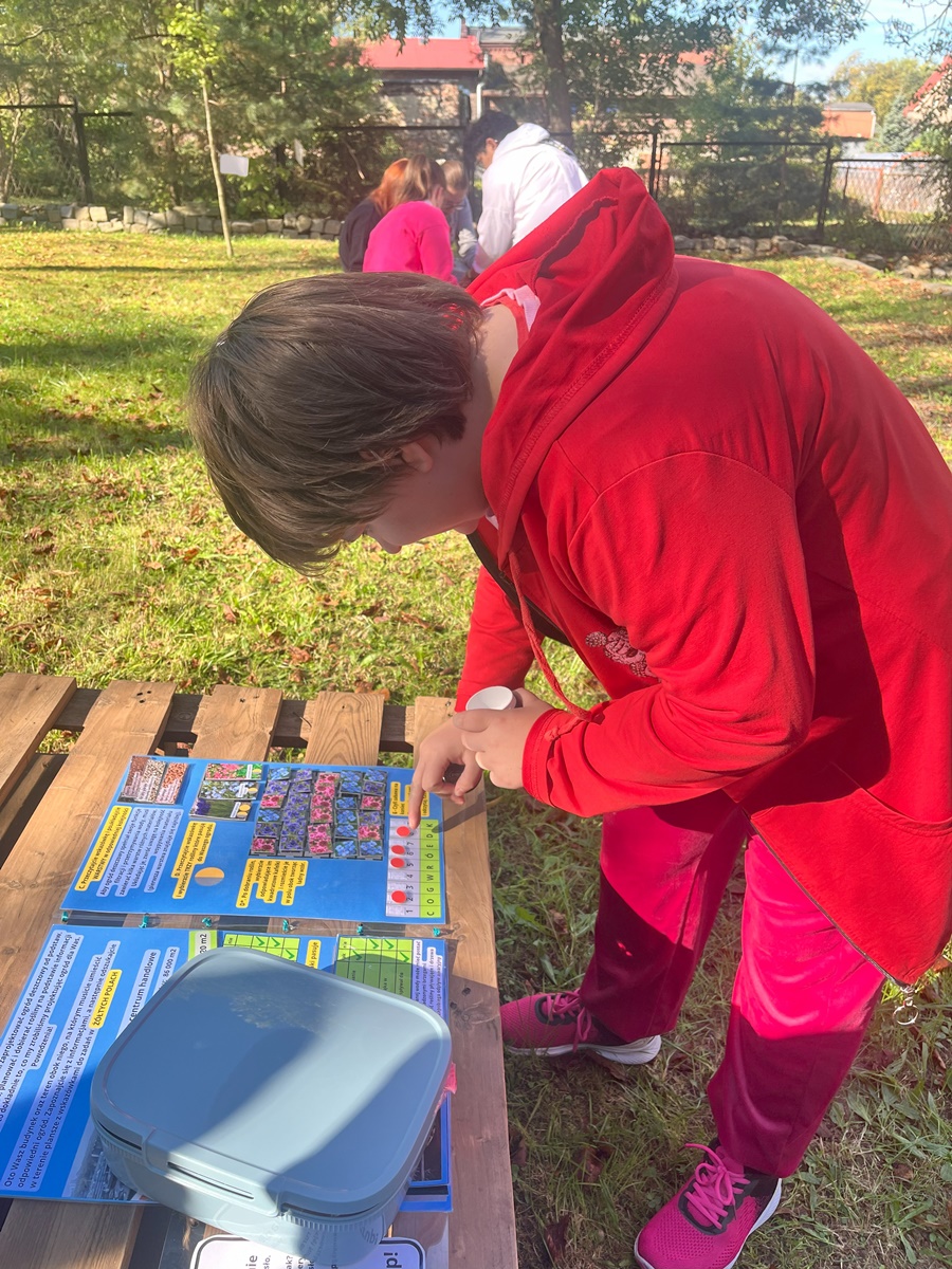 Ogród deszczowy w Zespole Szkół nr 7 30