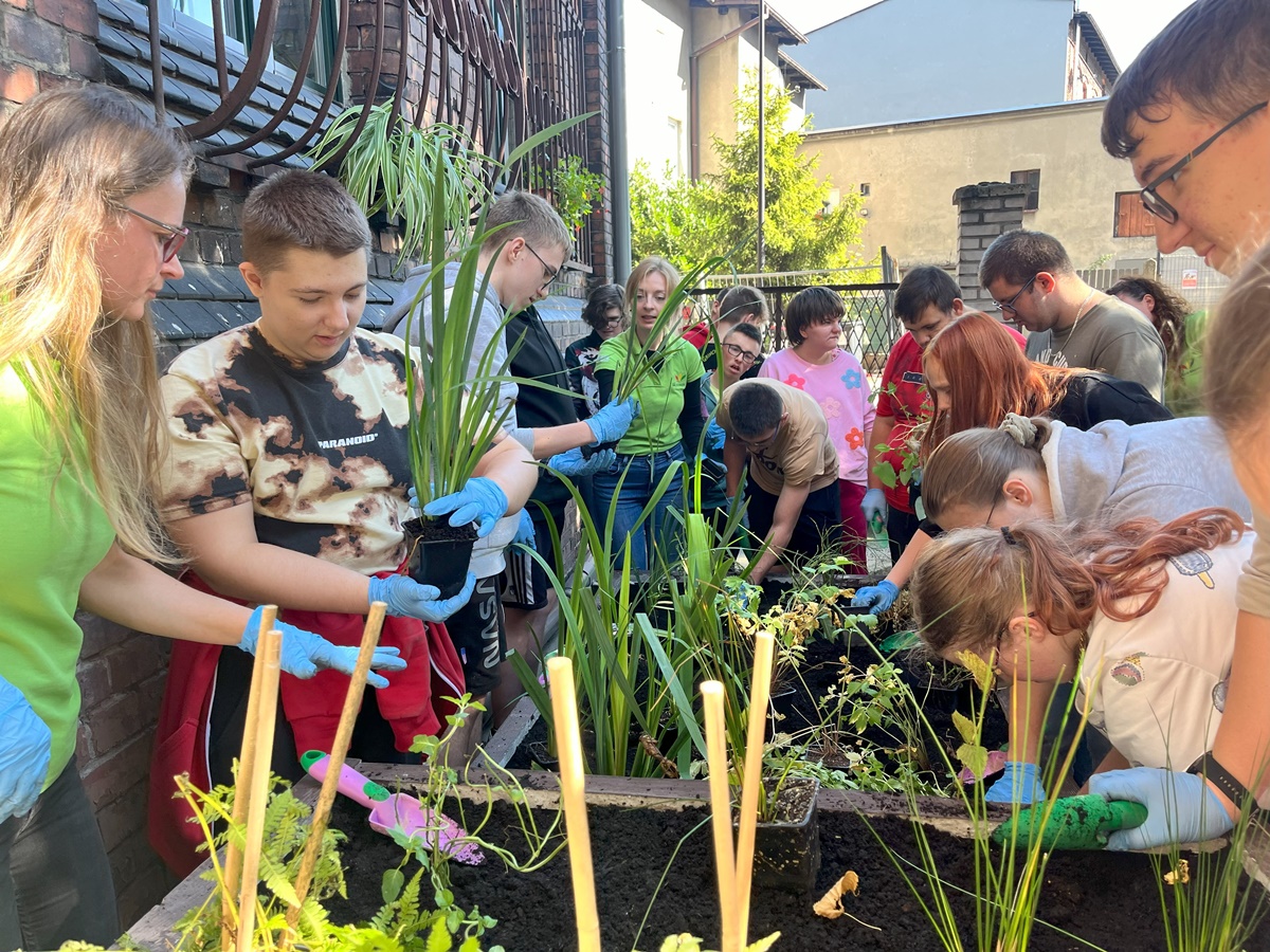 Ogród deszczowy w Zespole Szkół nr 7 34