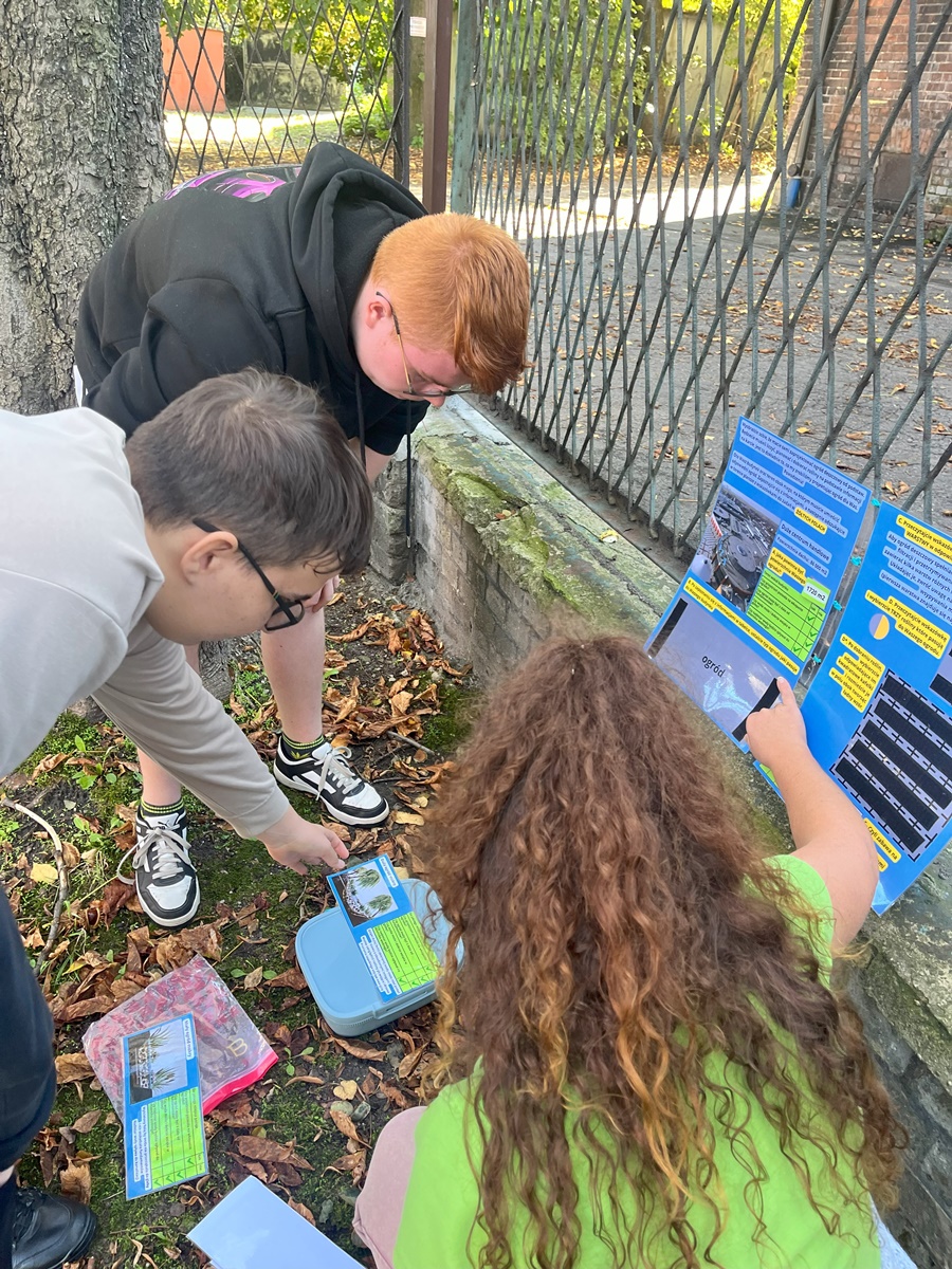 Ogród deszczowy w Zespole Szkół nr 7 37