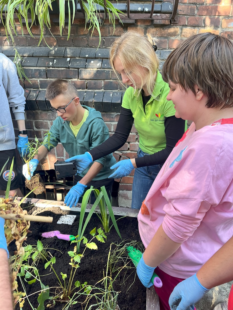 Ogród deszczowy w Zespole Szkół nr 7 45