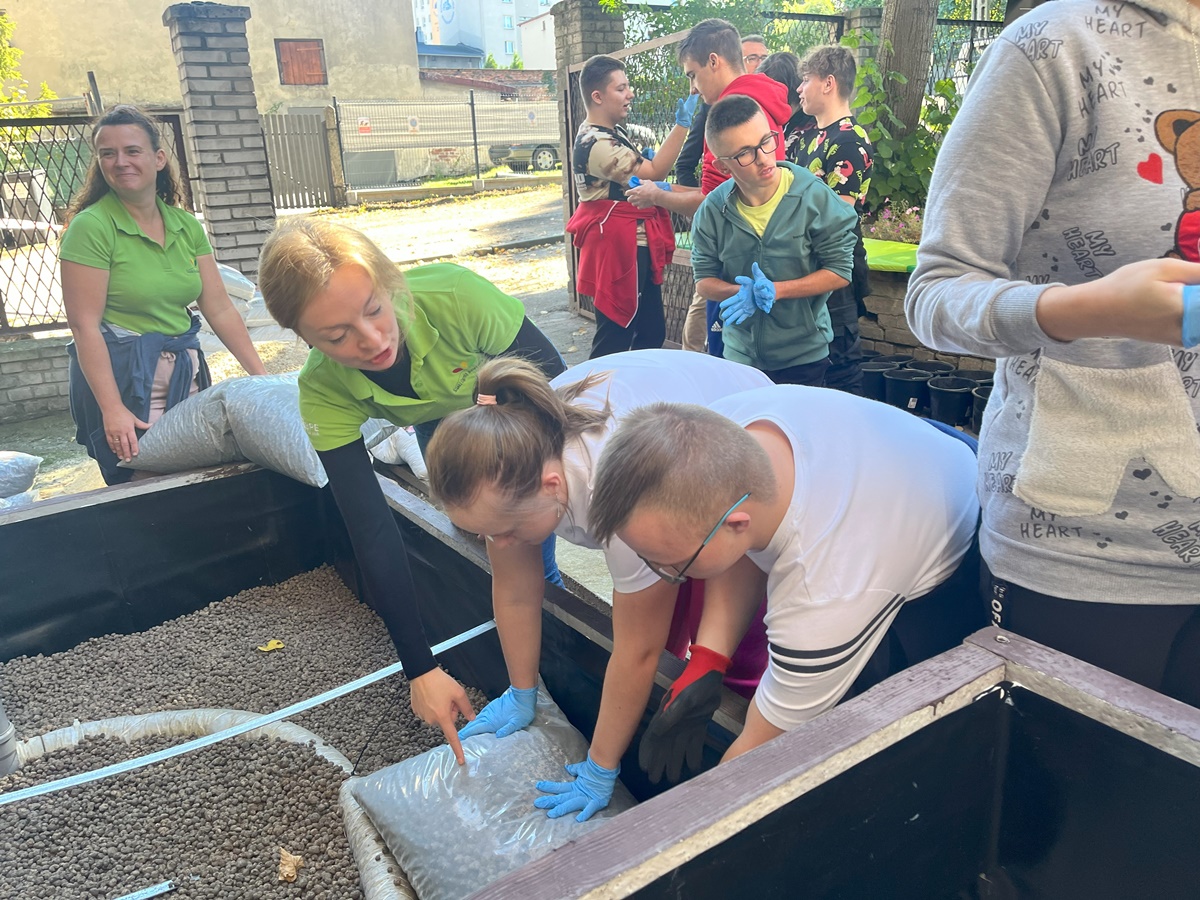 Ogród deszczowy w Zespole Szkół nr 7 50