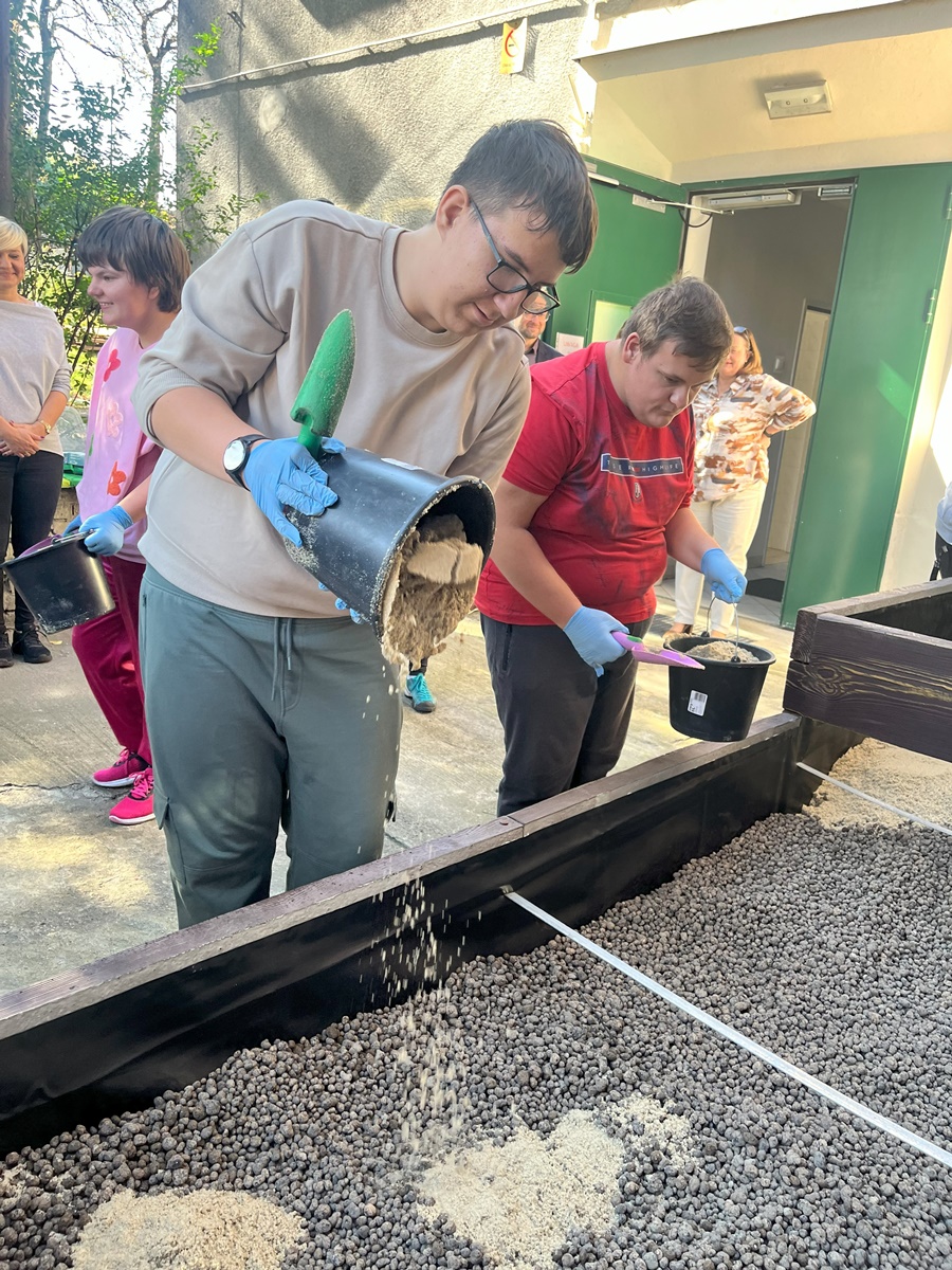 Ogród deszczowy w Zespole Szkół nr 7 59