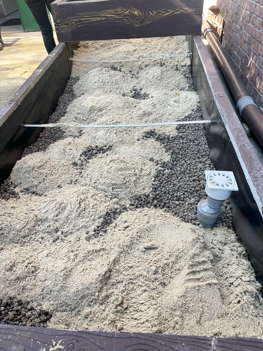 Ogród deszczowy w Zespole Szkół nr 7 62