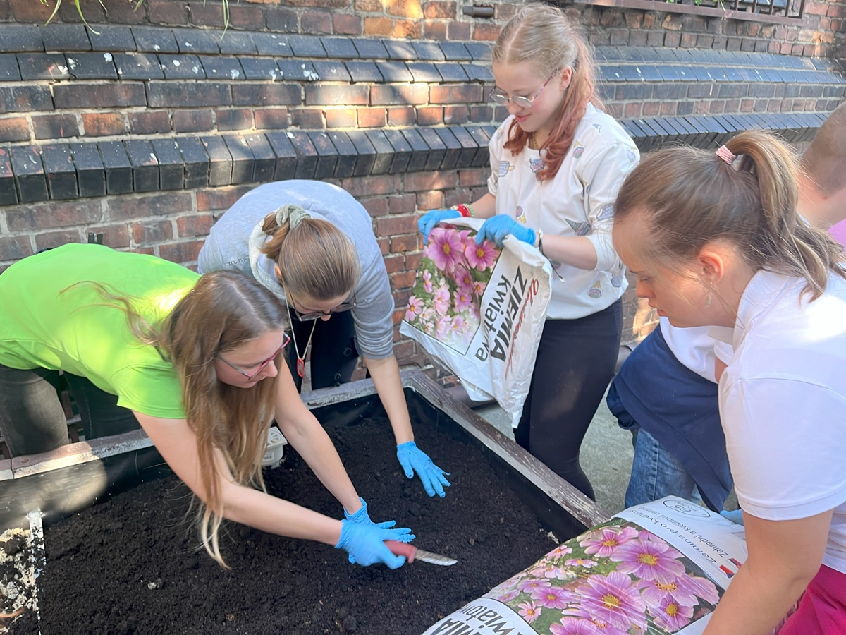 Ogród deszczowy w Zespole Szkół nr 7 68