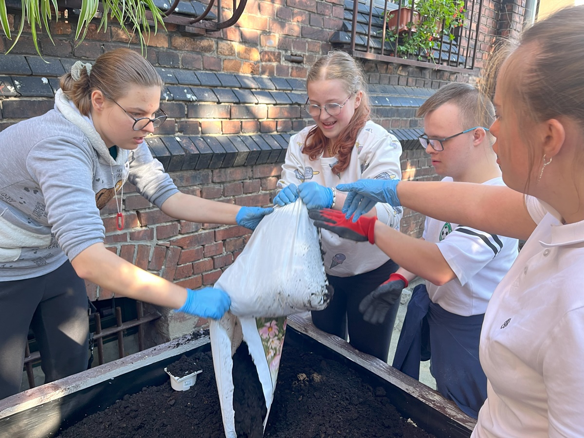 Ogród deszczowy w Zespole Szkół nr 7 69