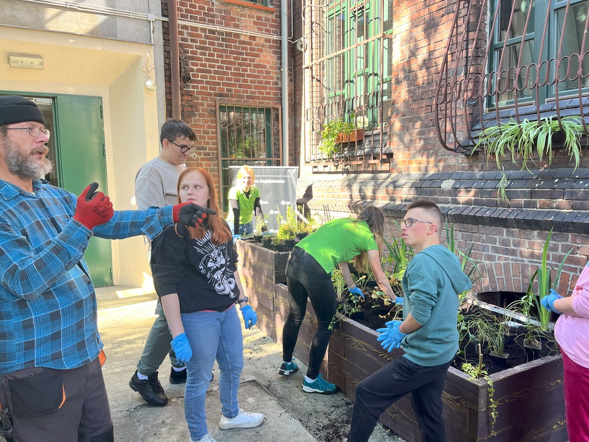 Ogród deszczowy w Zespole Szkół nr 7 71