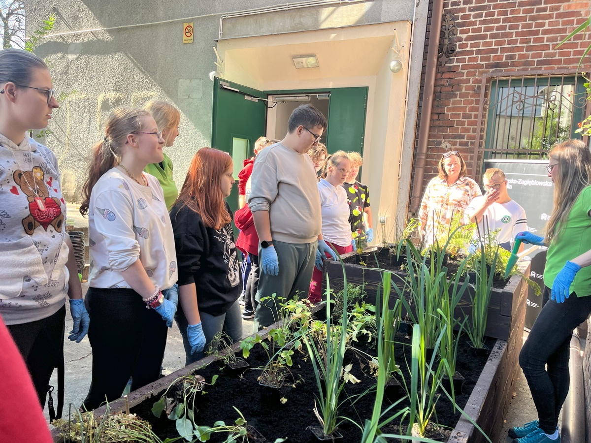 Ogród deszczowy w Zespole Szkół nr 7 72