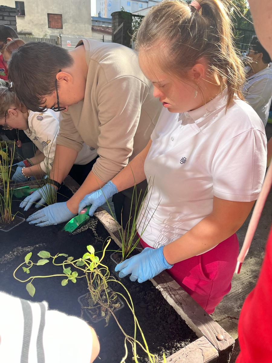 Ogród deszczowy w Zespole Szkół nr 7 73