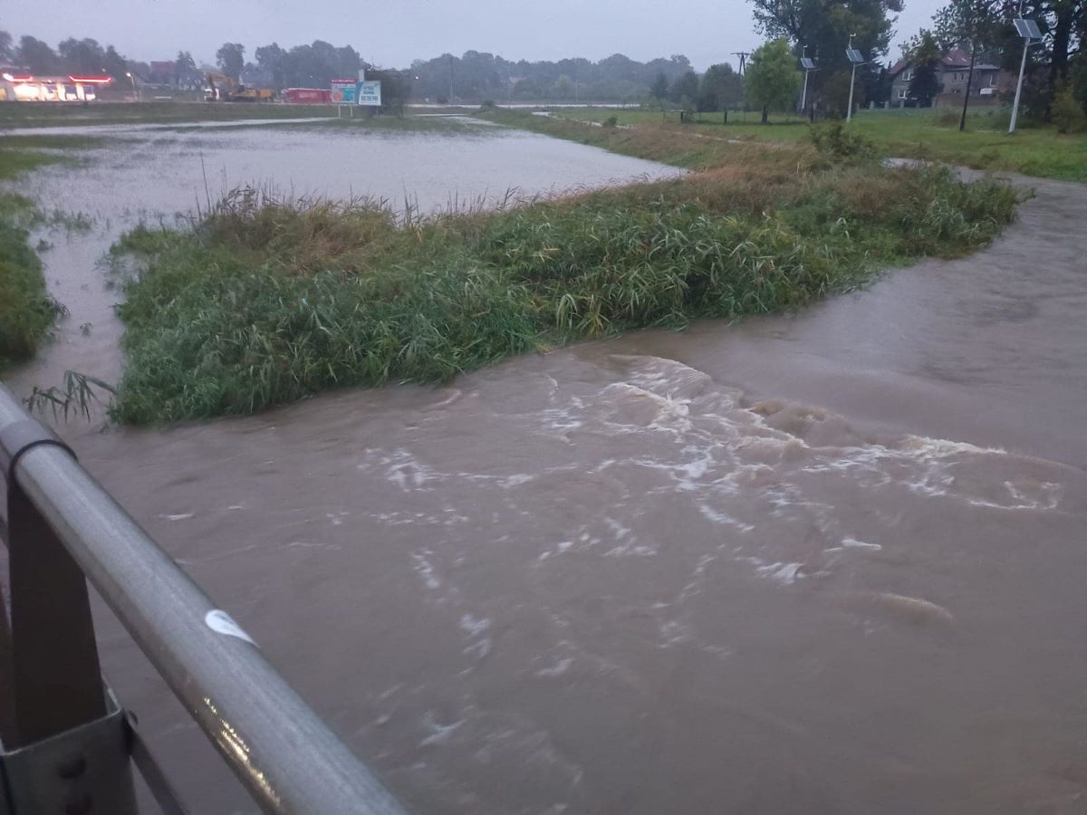 Drama wylała na łąki przy obwodnicy. Służby monitorują miasto!