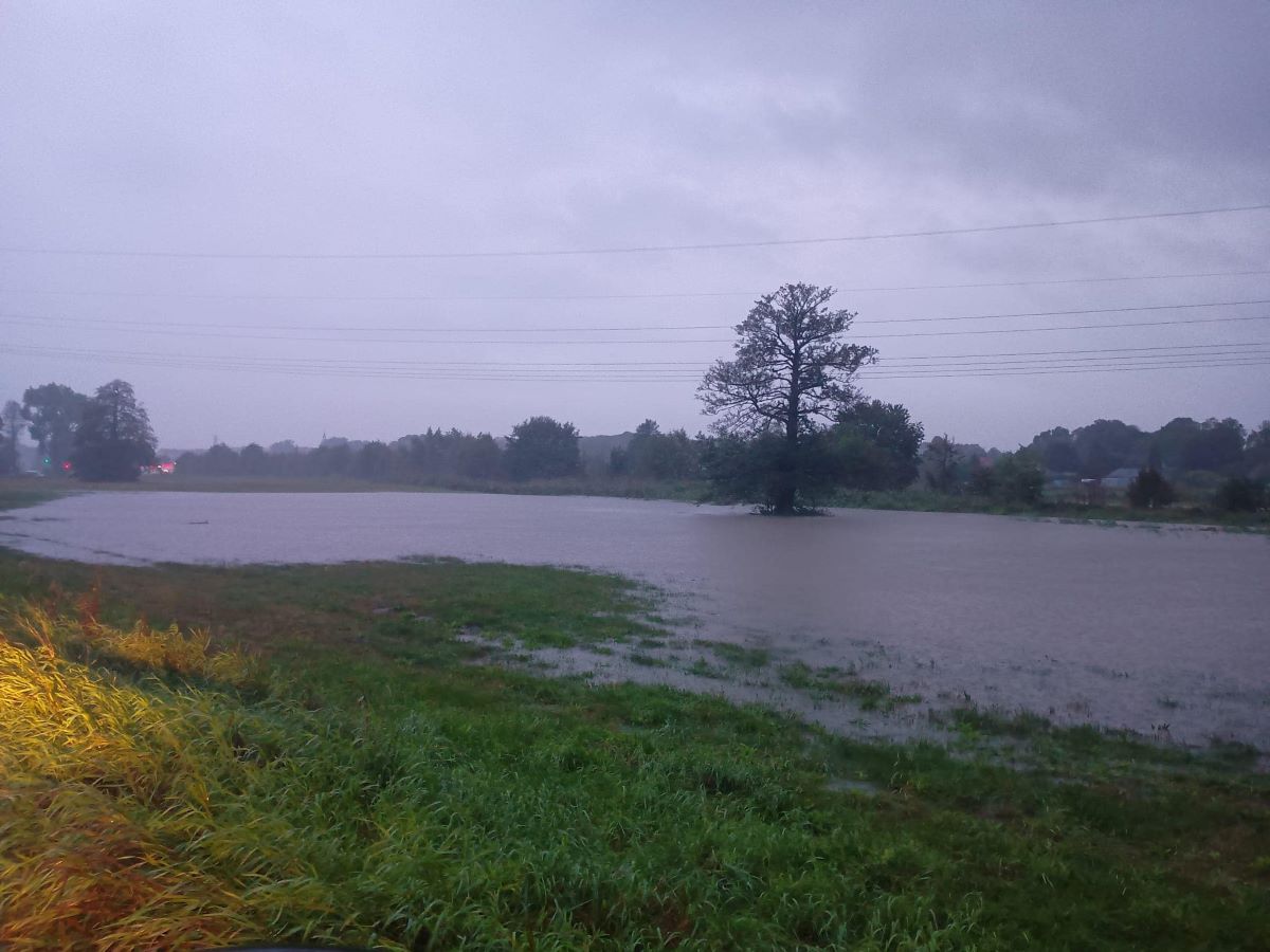 Drama wylała na łąki przy obwodnicy. Służby monitorują miasto!