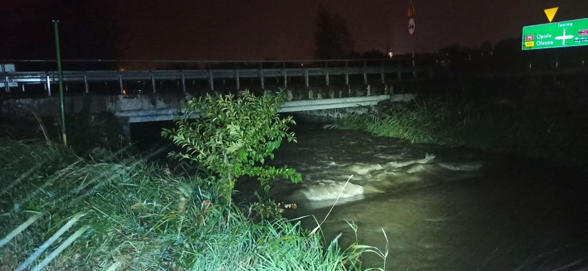 Drama wylała na łąki przy obwodnicy. Służby monitorują miasto!