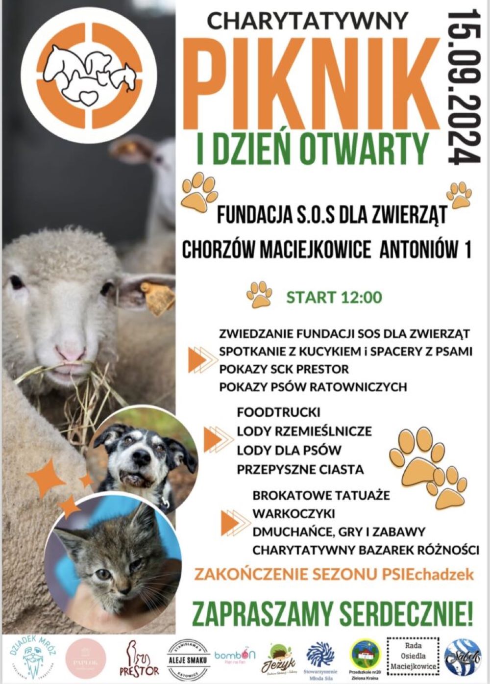 Zakończenie zezonu PSIEchadzek - Piknik z Fundacją S.O.S dla Zwierząt