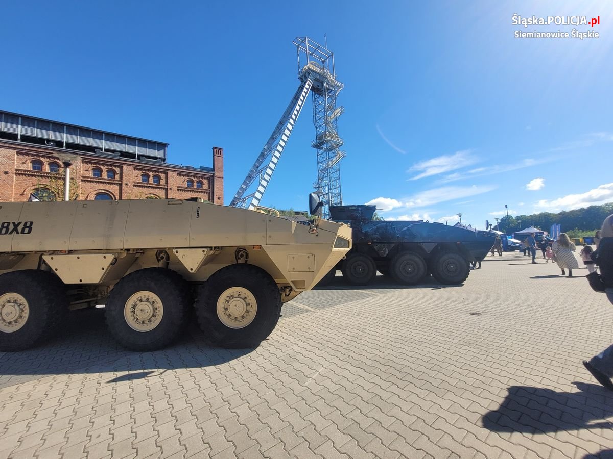 Piknik z Rosomakiem 25