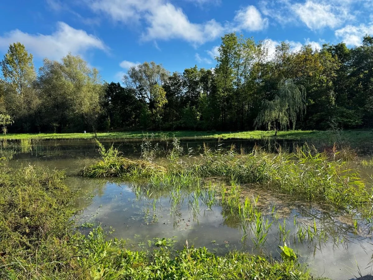 Mysłowice podsumowują działania po podtopieniach – co zostało zrobione?