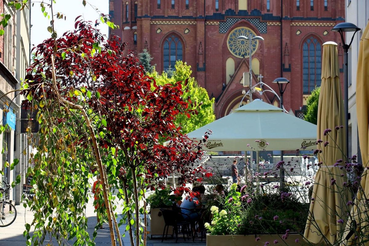 Rybnik na 6. miejscu pod względem mediany wynagrodzeń w województwie