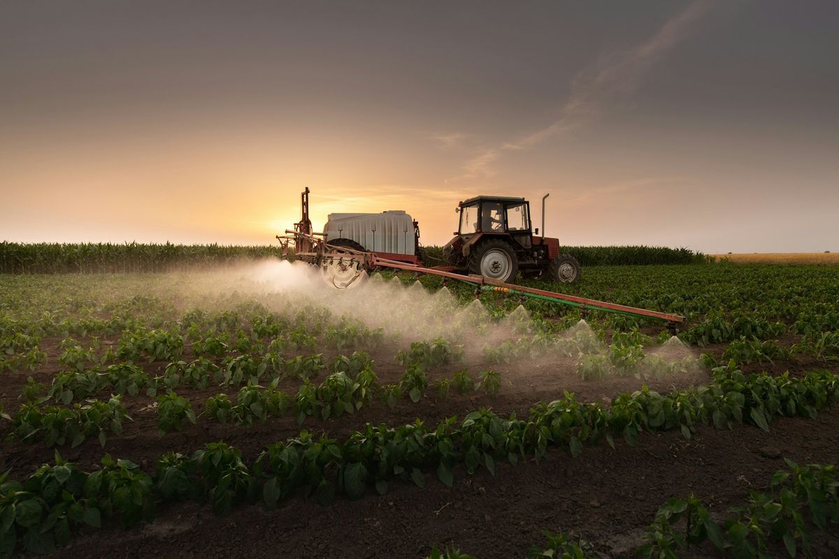 Czy ARiMR skutecznie wspiera rozwój polskiego rolnictwa i obszarów wiejskich?