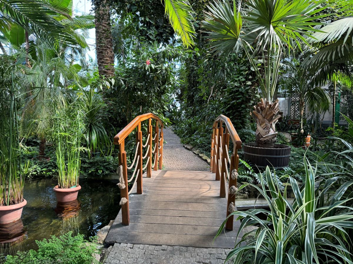 Ponowne otwarcie gliwickiej Palmiarni. Na gości czekają nowe osobliwości!