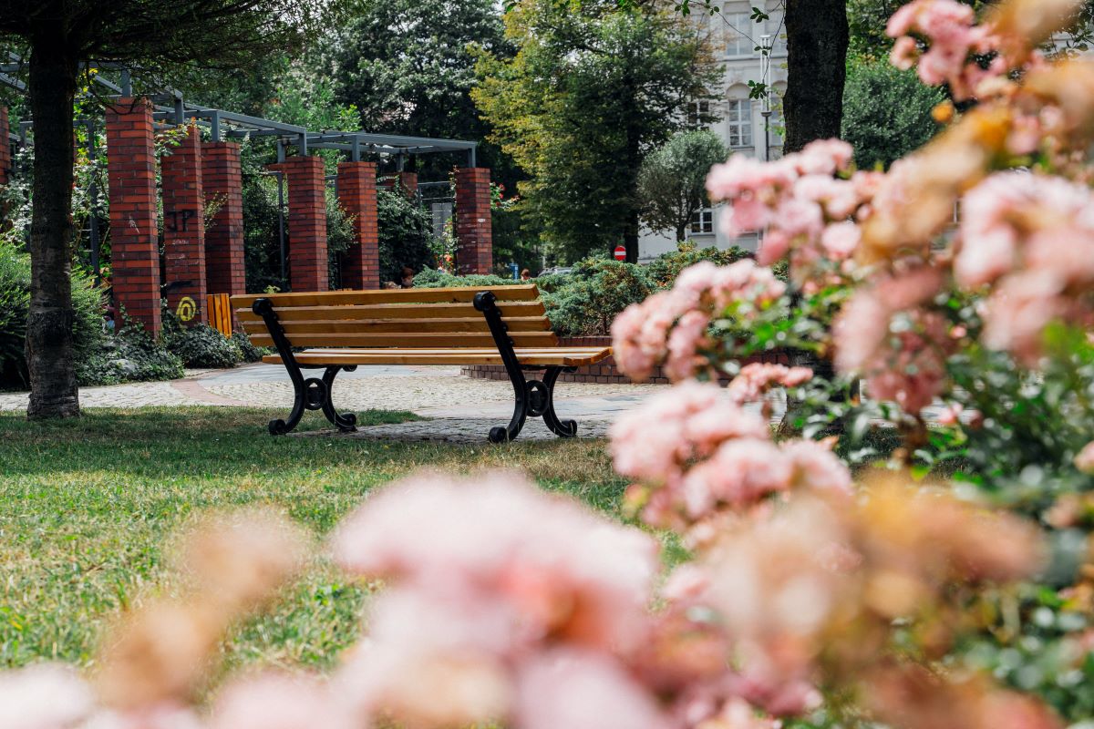 W Gliwicach pojawi się więcej zieleni!