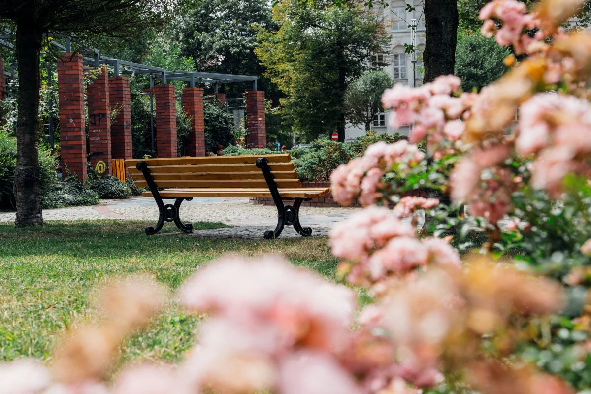 W Gliwicach pojawi się więcej zieleni!