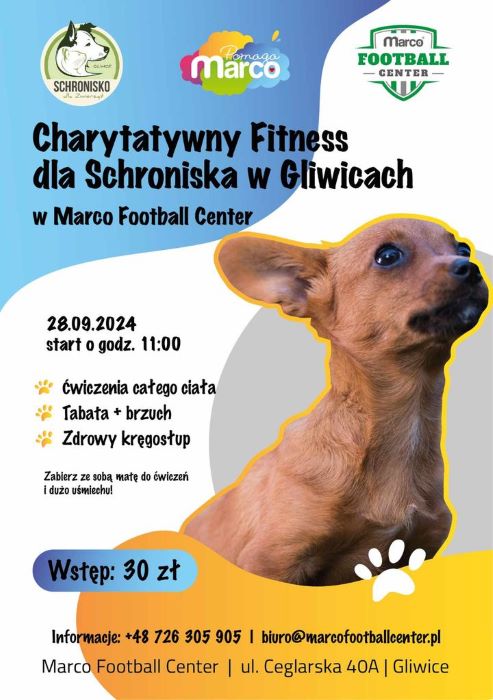 Przed nami charytatywny fitness dla schroniska!