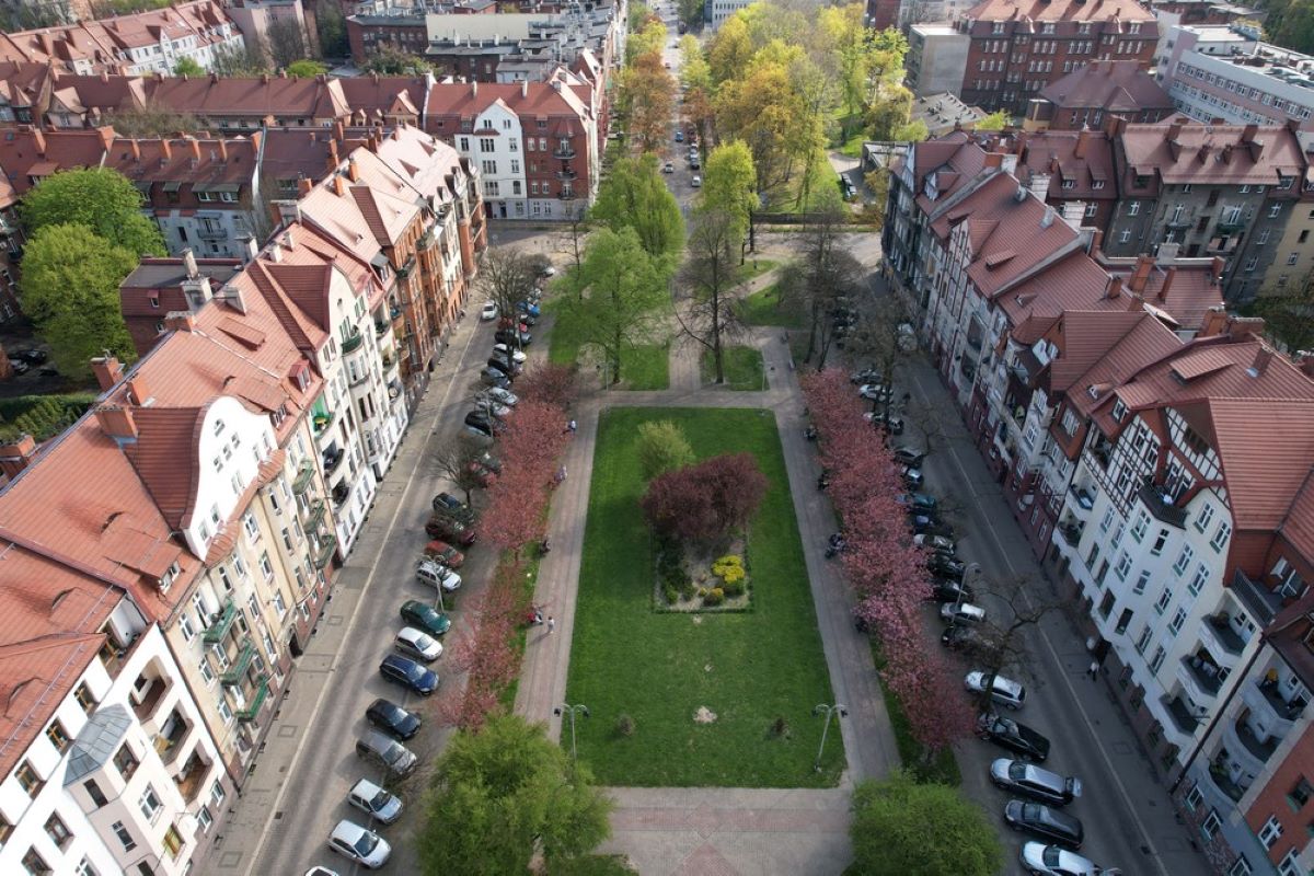 275 km dróg pod lupą – trwają badania parkowania w Górnośląsko-Zagłębiowskiej Metropolii