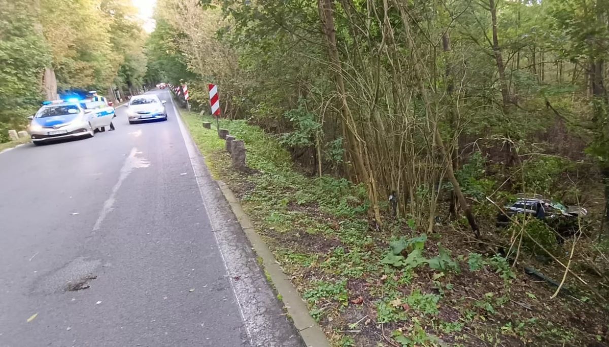 Bytom: 42-latek po alkoholu stracił panowanie nad pojazdem i wjechał w drzewa
