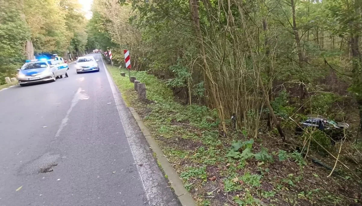 Bytom: 42-latek po alkoholu stracił panowanie nad pojazdem i wjechał w drzewa