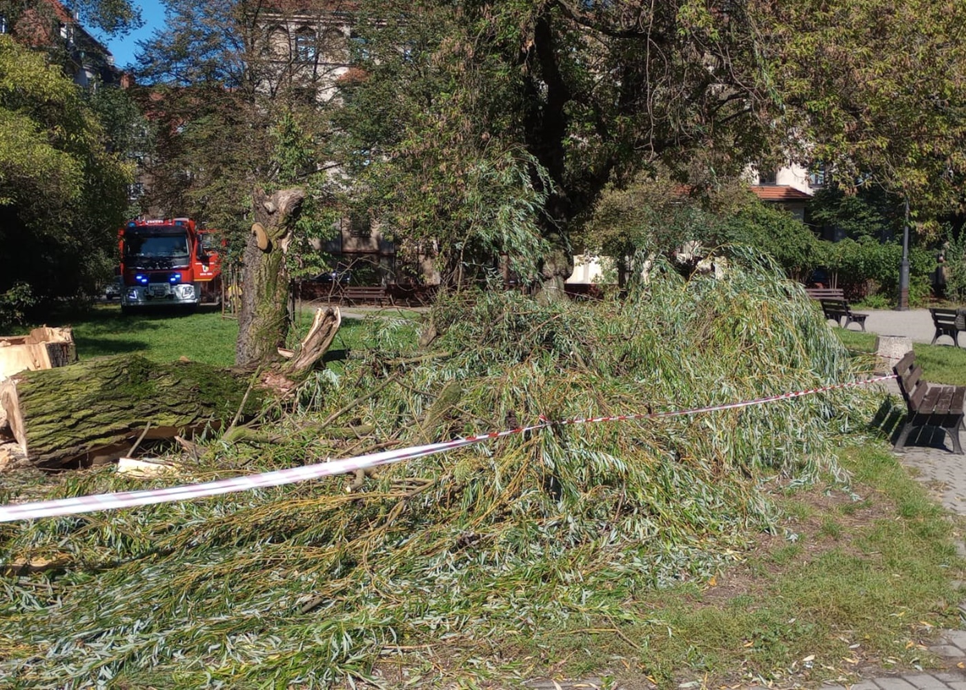Strażacy z Bytomia nie mieli odpoczynku – rekordowe 66 interwencji w weekend