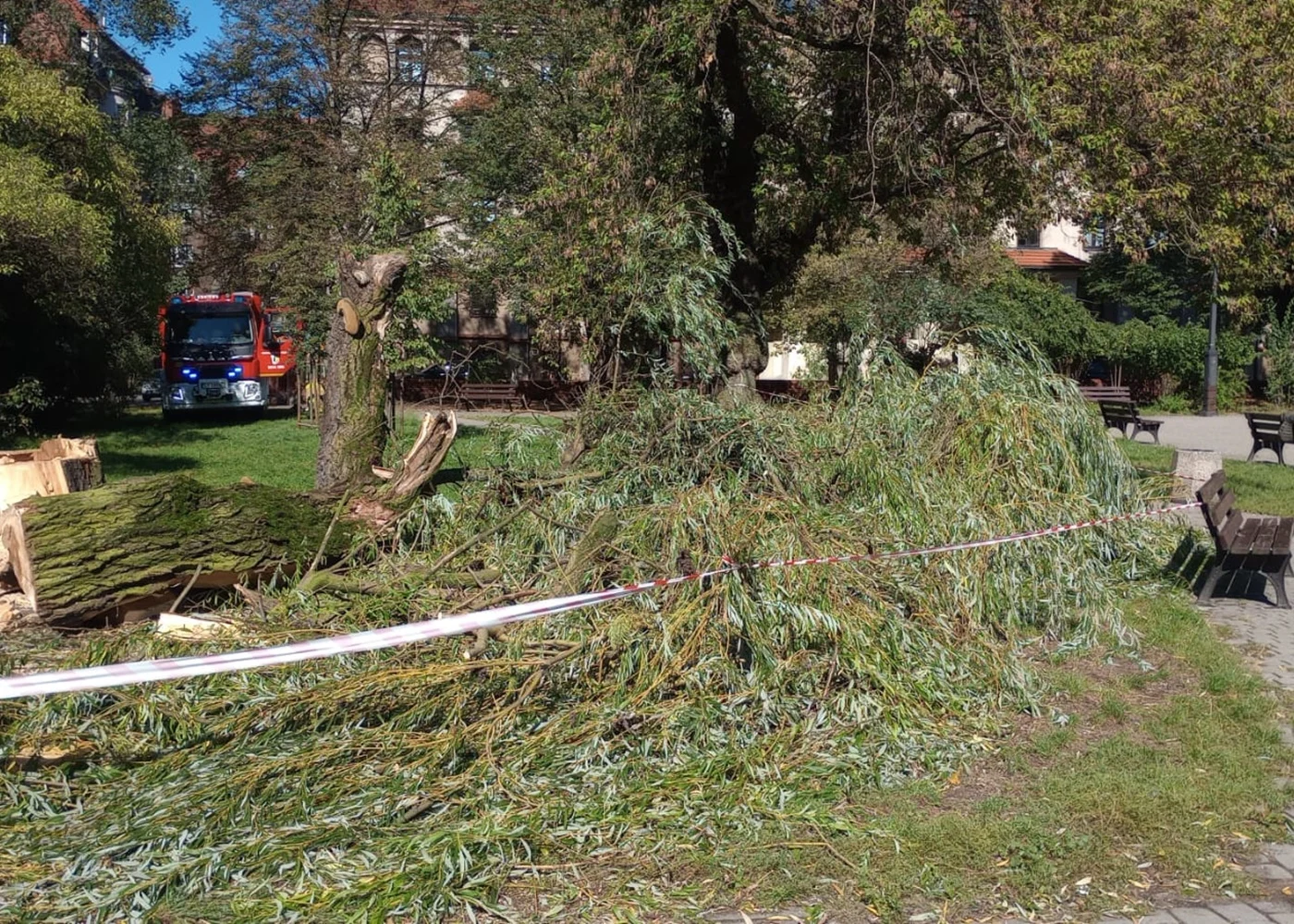 Strażacy z Bytomia nie mieli odpoczynku – rekordowe 66 interwencji w weekend