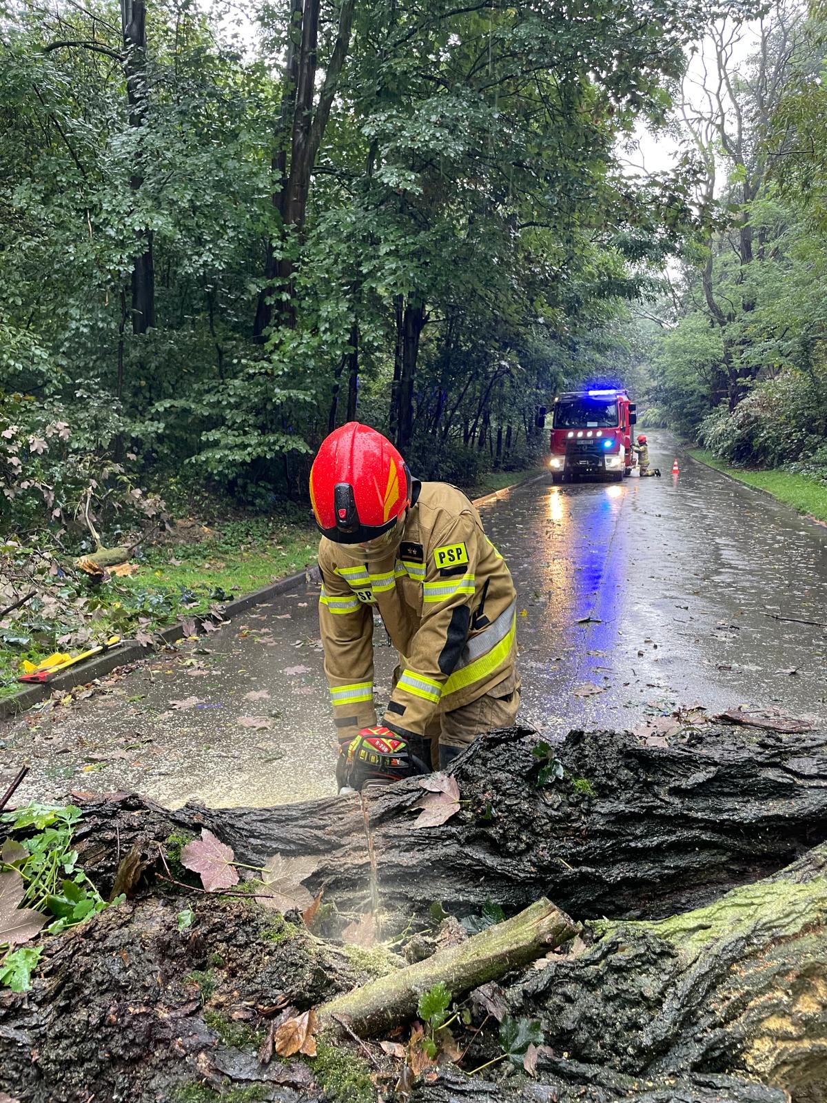 Strażacy z Bytomia nie mieli odpoczynku – rekordowe 66 interwencji w weekend